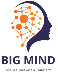 big mind logo